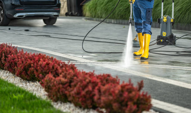 Professional Pressure Washing in Palisade, CO